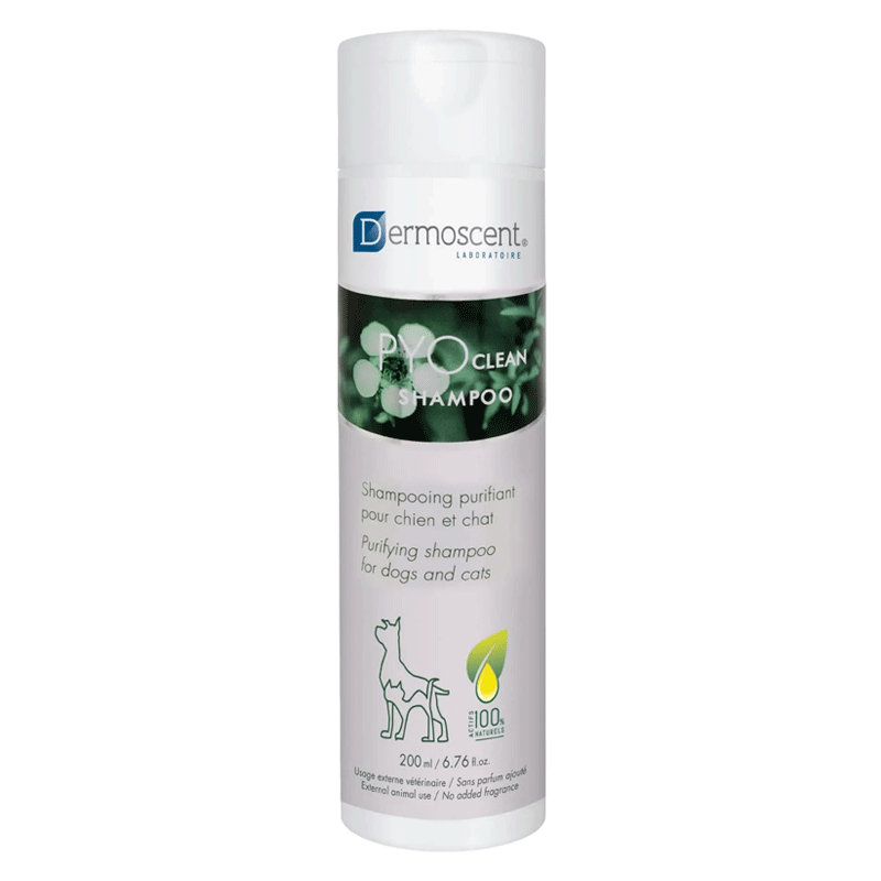 Dermoscent Pyo Clean Shampoo 200 Ml Dermoscent Pyo Clean Shampoo 200 Ml